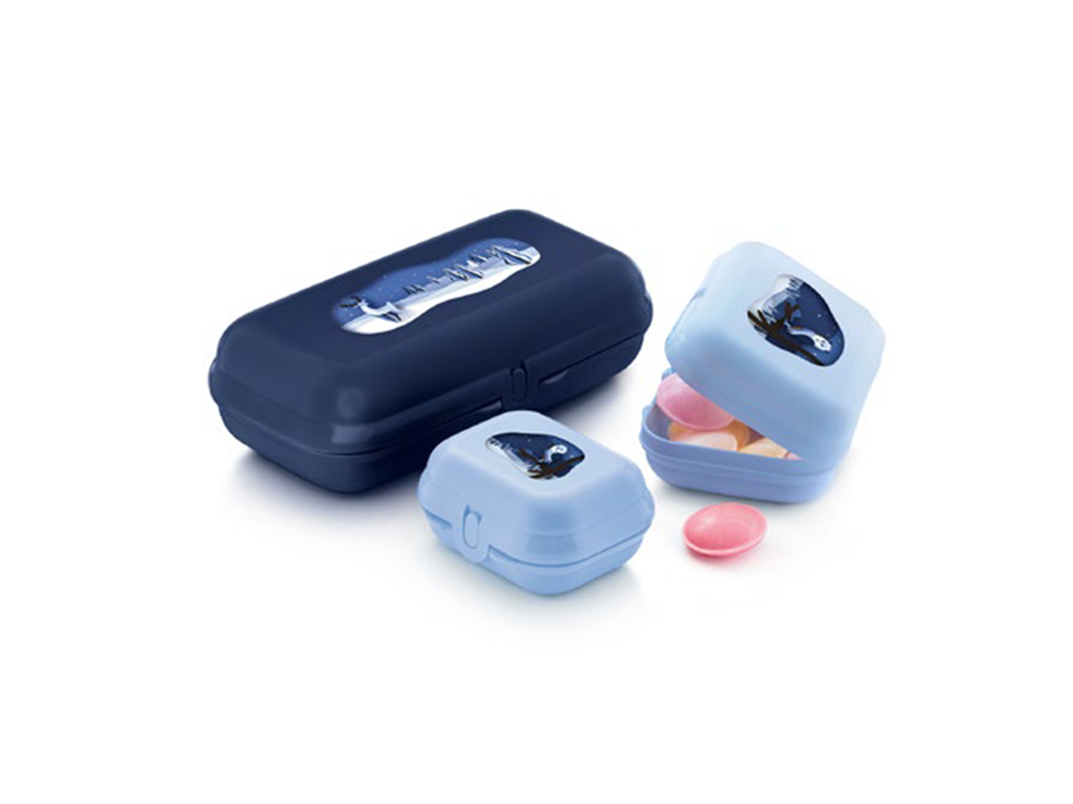 Set Scoici iarna (mare, medie, mică)