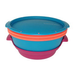 Recipient Microgourmet colorat